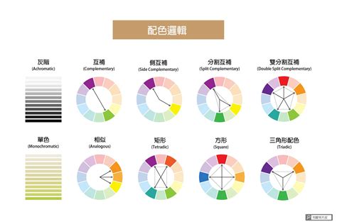 紫色配紅色|紫色控必學配色法